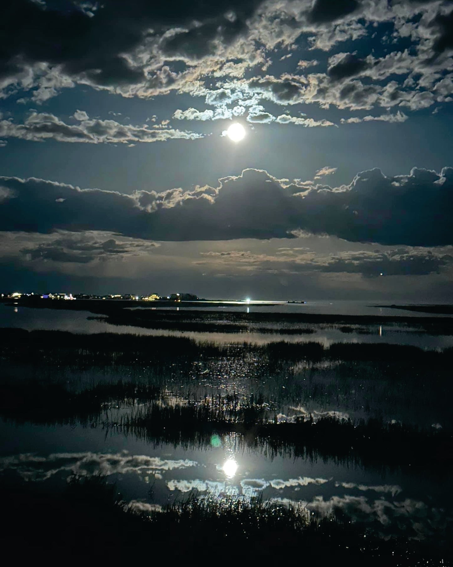 Moonlight Marsh