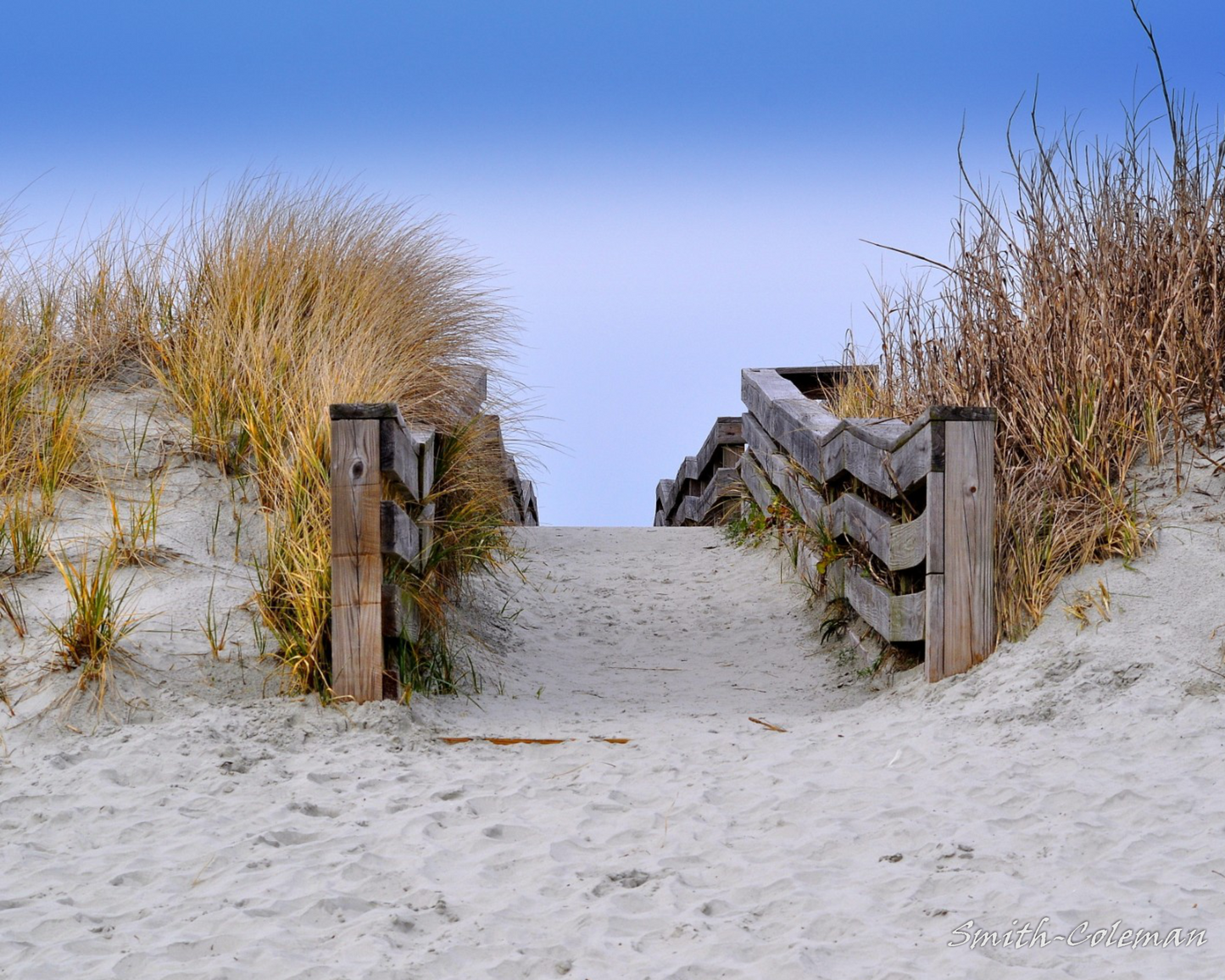 Path in the Dunes